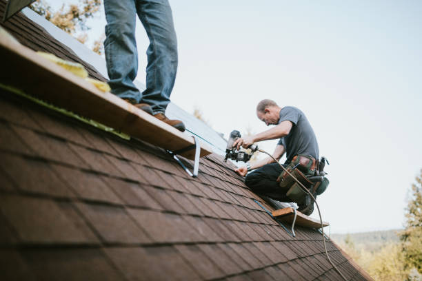 Best Storm Damage Roof Repair  in Mack, OH