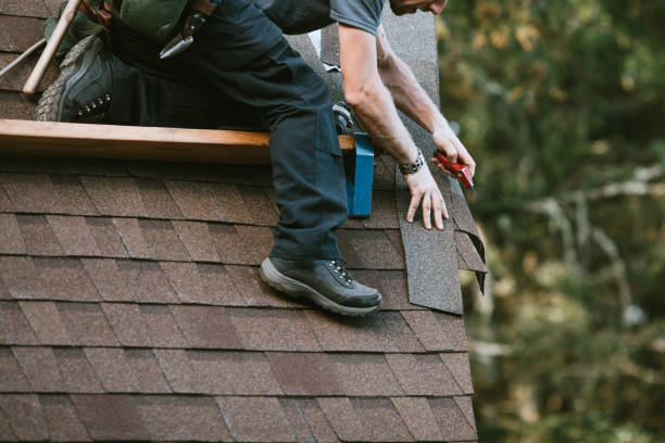 Roof Gutter Cleaning in Mack, OH